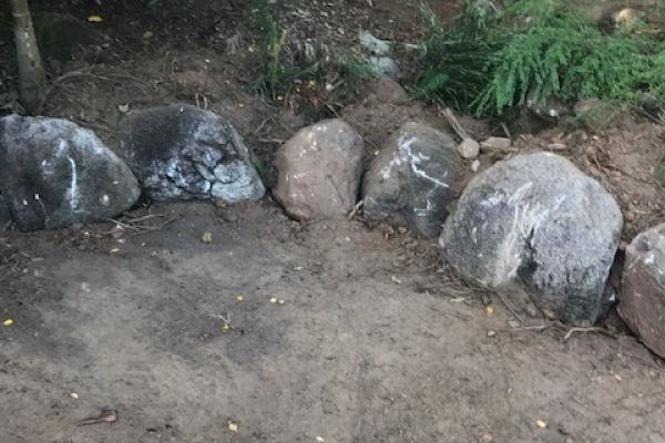 FNQ Earthqworx Site Cleanup